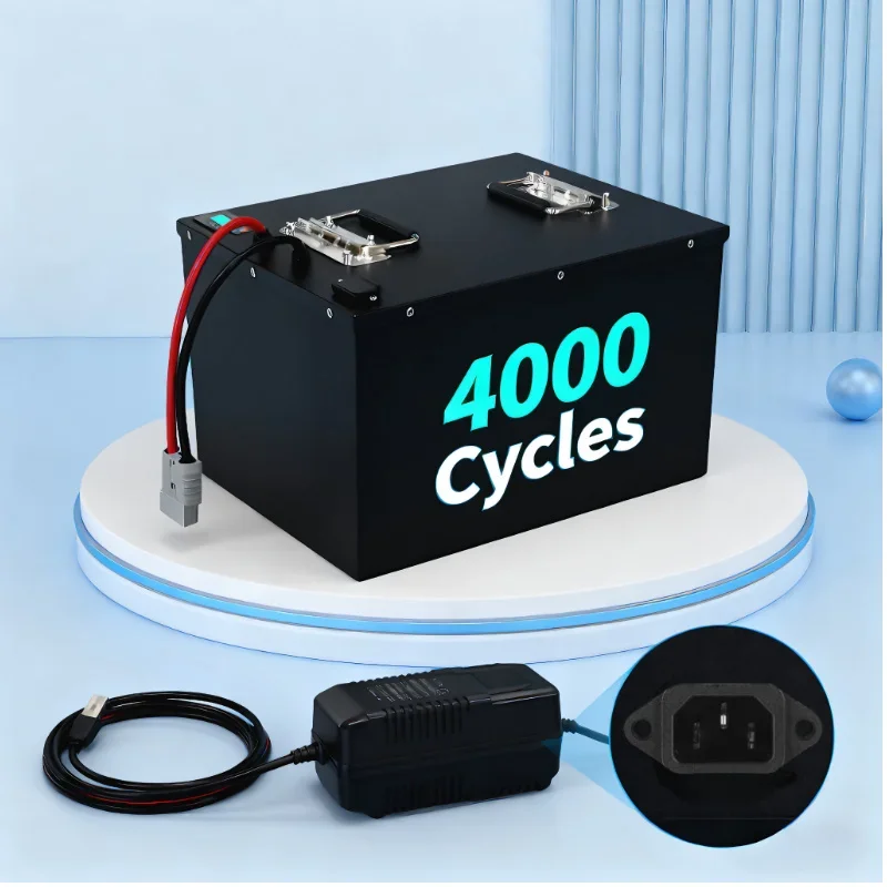 Batterie LiFePO4 avec BMS inté - Lifepo4 72V 100Ah Battery Pack Ev avis et prix